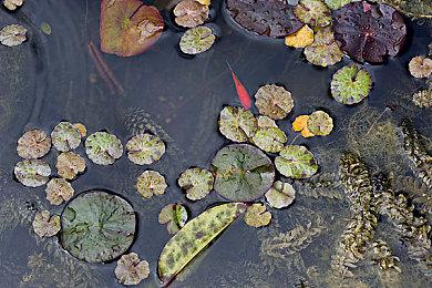 次世代动作MMORPG《时空奥德赛》Steam页面上线 支持简体中文